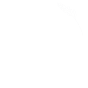 Logo mit Namen