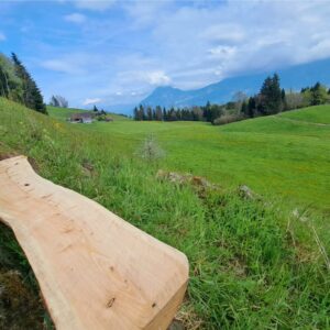 Bank auf Alp