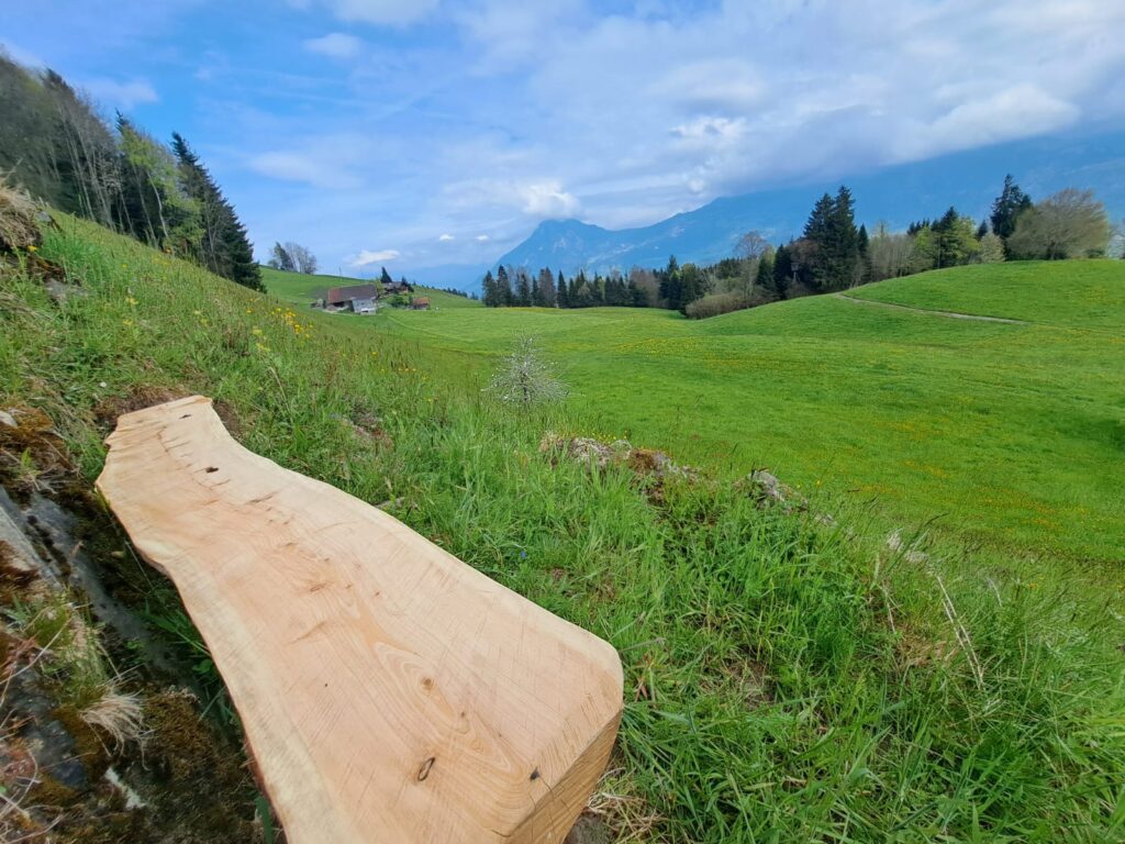 Perspektive-danieladrilltzs.ch